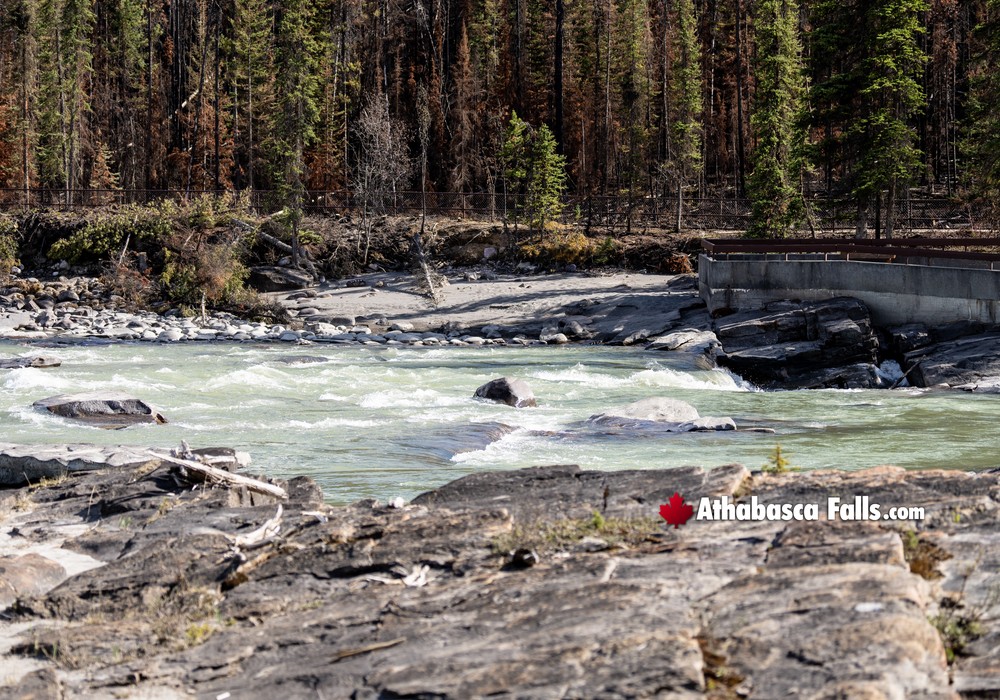 Spring Athabasca River Flow