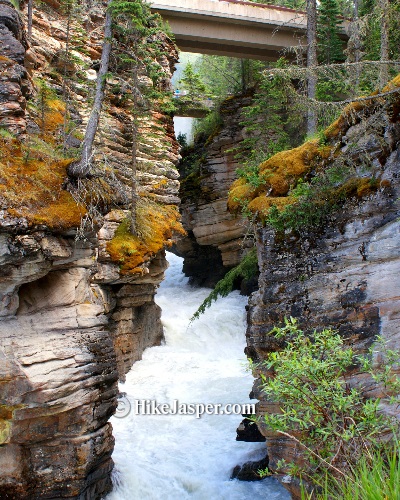 Under Bridge of Athabasca Falls