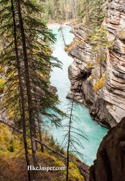 Athabasca Falls into Athabasca River