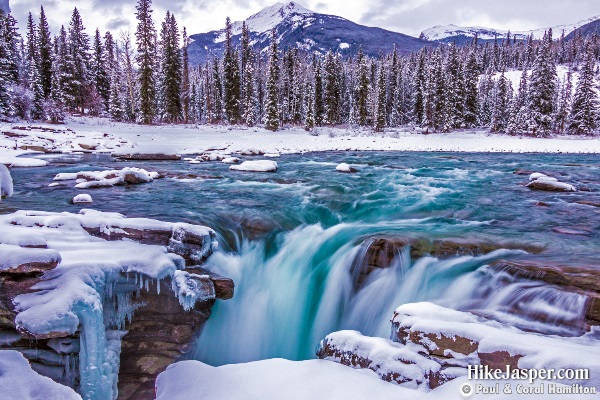 Athabasca Falls in Winter