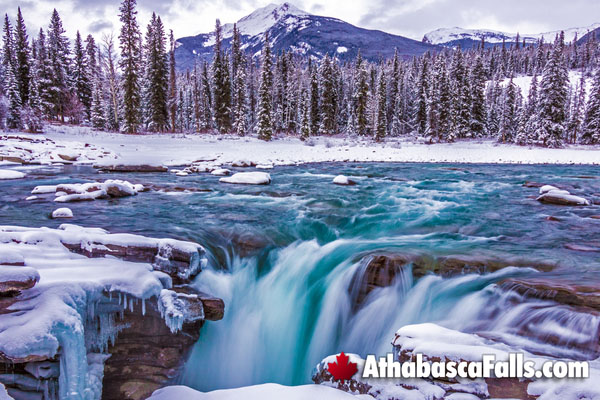 Athabasca Falls in Winter